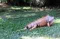 Mexico 014